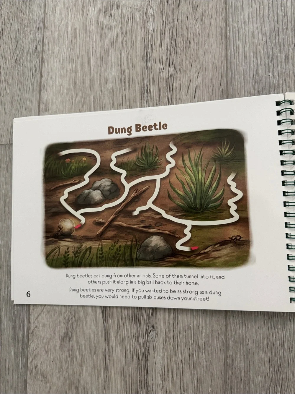 The Good and the Beautiful Insect & Spider Mazes Dry Activity Book